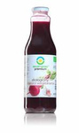 Vegetarisk borsjtj BIO 500 ml