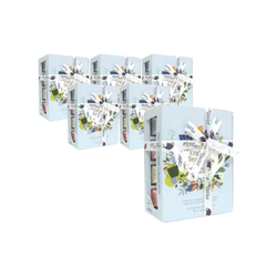 SÆT 6 x Welness pyramide te sæt (12x2) bio 24 g