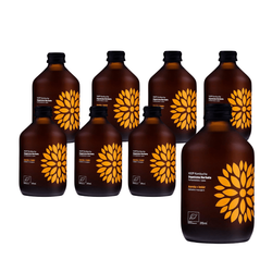 SÆT 8 x Kombucha ingefær+acerola bio 330 ml