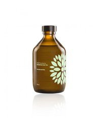 Kombucha agurk+koriander bio 315 ml