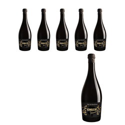KIT 6 x Champagne kombucha på egeblade med smag af hyldeblomster bio 750 ml - Kombucha By Laurent