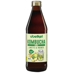 Kombucha lime-ingefær BIO 330 ml