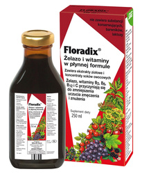 Jern + B-vitaminer, C-vitamin flydende kosttilskud 250 ml - Salus (Floradix)