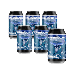 SÆT 6 x Prager's kombucha Yerba Mate-dåse 330 ml