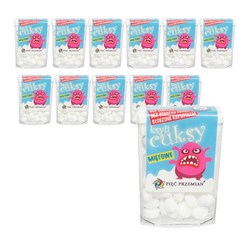 KIT 12 x x xylitol xylitux slik uden gluten med mintsmag 13 g