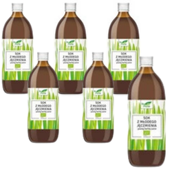 KIT 6 x Ung bygjuice bio 500 ml