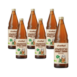 SÆT 6 x Økologisk Kombucha 750 ml
