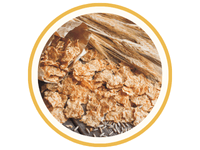 Rugflager