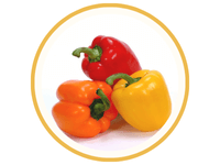 Paprika