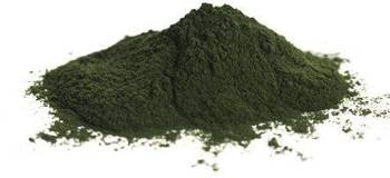 Chlorella-pulver (alger) bio (råmateriale) (20 kg) 1