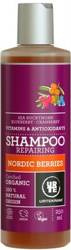 Nordic Berry Regenerating Hair Shampoo BIO 250 ml - Urtekram