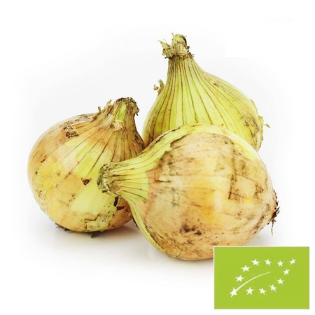 Friske gule løg bio - BIO (ca. 1,00 kg)