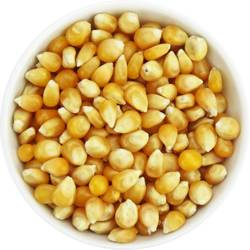 Popcorn (majskerner) BIO (råvare) (25 kg) 2
