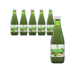 SÆT 6 x Sukkerfri syltet agurkesaft bio 300 ml