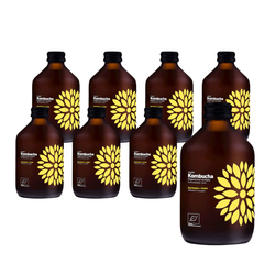 SÆT 8 x Kombucha gurkemeje + ingefær bio 330 ml