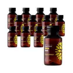 SÆT 12 x Kombucha bio probiotisk detox shot 100 ml