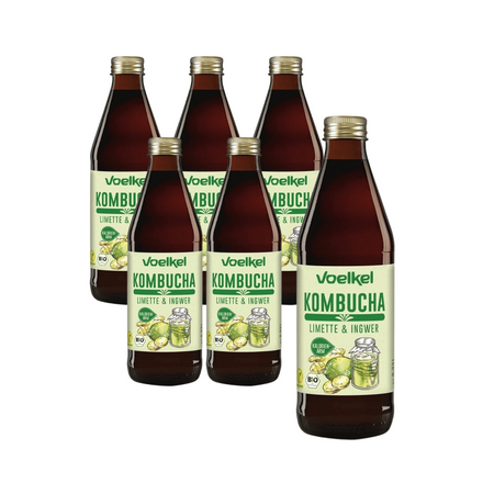 SÆT 6 x Kombucha lime-ingefær BIO 330 ml
