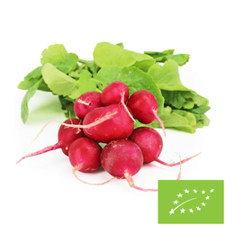 RZODKIEWKI ŚWIEŻE BIO (POLSKA) (około 0,20 kg)