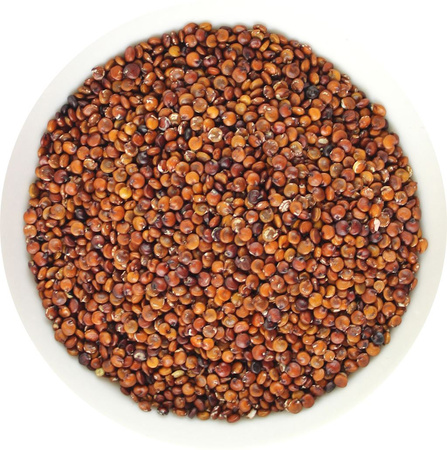 Rød quinoa BIO 25 kg