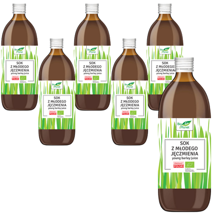 KIT 6 x Ung bygjuice bio 500 ml