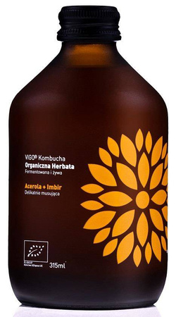 Kombucha ingefær+acerola bio 330 ml