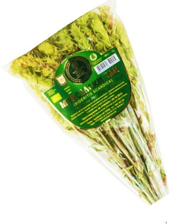 Stikkelsbær Mursal Tea BIO 22g