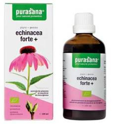Echinacea forte (Echinacea purpurea) dråber bio kosttilskud 100 ml