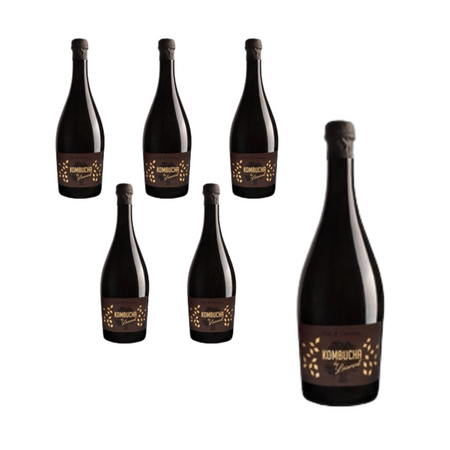 SÆT med 6 x kombucha bio 750 ml med chokoladesmag af egetræsflager - Kombucha By Laurent