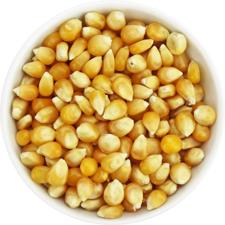 Popcorn (majskerner) BIO (råvare) (25 kg) 2