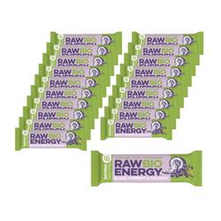 SÆT 20 x Rå energibar bio solbær-kokosnød glutenfri bio 50 g - Bombus bio