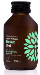 Kombucha BIO Probiotic Relax Shot 100 ml