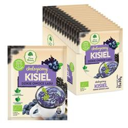 Glutenfri skovens vilde frugter kisel BIO 30 g