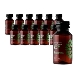 SÆT 12 x Kombucha bio probiotisk energishot 100 ml