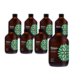 SÆT 8 x Kombucha agurk+koriander bio 315 ml