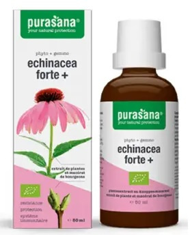 Echinacea forte (Echinacea purpurea) dråber kosttilskud bio 50 ml