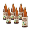 SÆT 6 x Økologisk Kombucha 750 ml