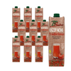 KIT 10 x Gazpacho (spansk grøntsagssuppe) bio 1 l