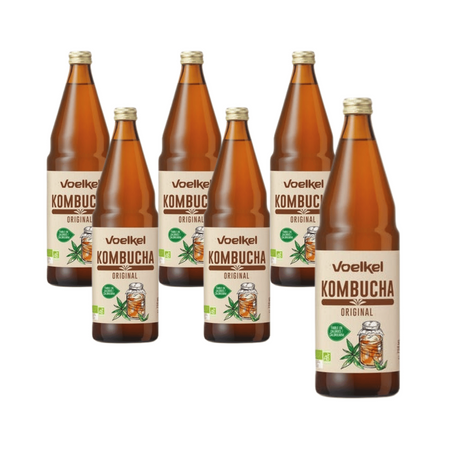SÆT 6 x Økologisk Kombucha 750 ml