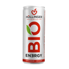 Energidrik med æble- og brombærsmag bio 250 ml - Hollinger