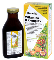 Vitamin B Complex flydende glutenfrit kosttilskud 250 ml - Salus (Floradix)