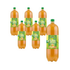 KIT 6 x Kombucha grøn te bio 2 l