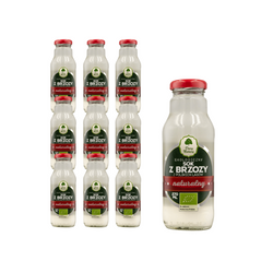 SET 10 x Birketræssaft bio 270 ml